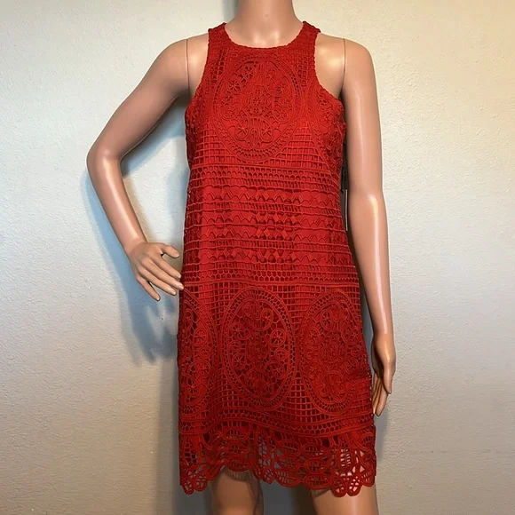 Lovers and Friends Caspian Red Lace Shift Dress - Picture 2 of 11